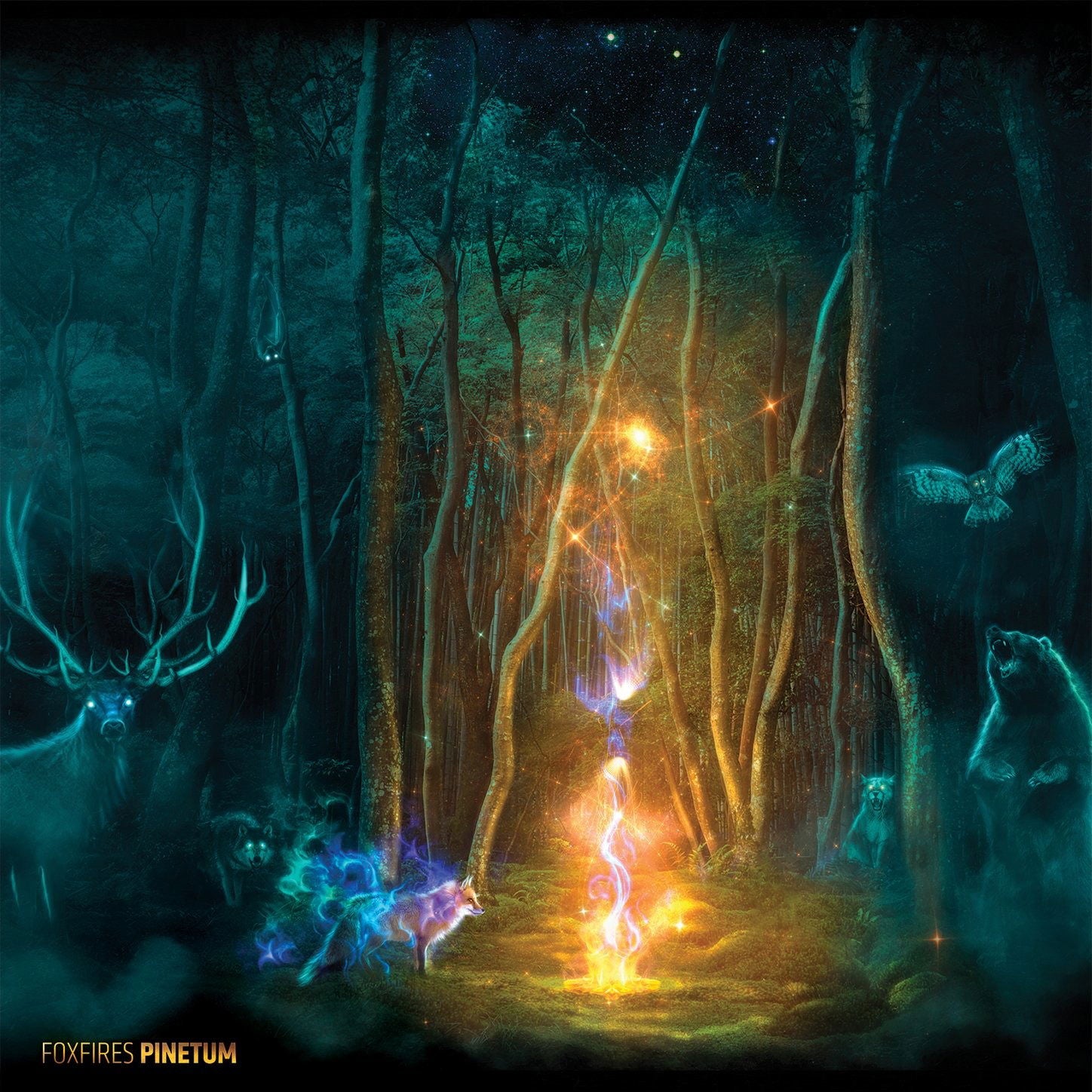 Foxfires - Pinetum (LP) Cover Arts and Media | Records on Vinyl