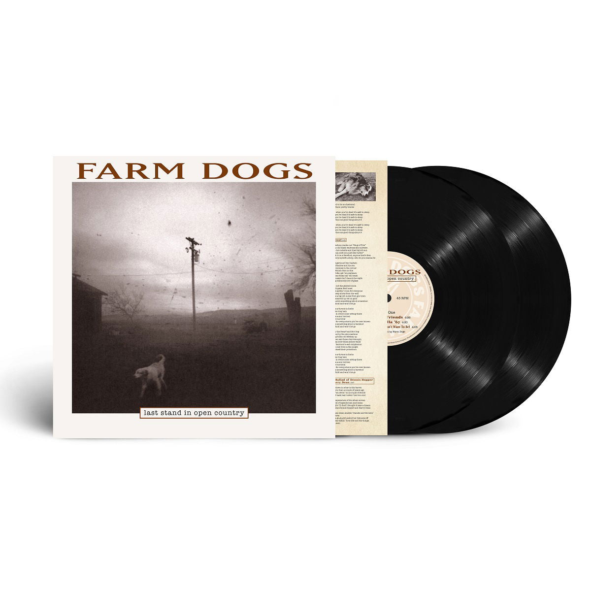 Farm Dogs - Last Stand In Open Country (2 LPs) Cover Arts and Media | Records on Vinyl