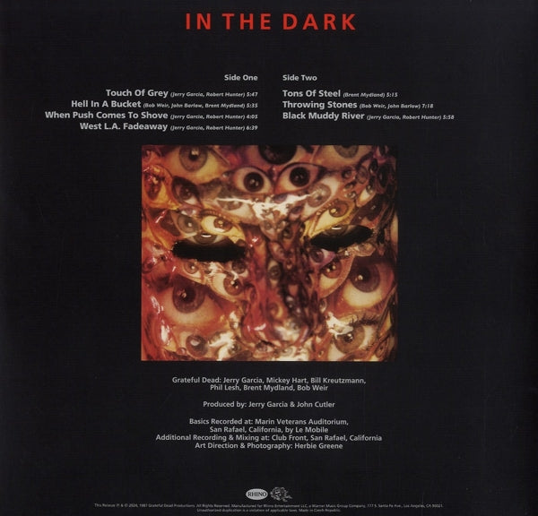 Grateful Dead - In the Dark (LP) Cover Arts and Media | Records on Vinyl