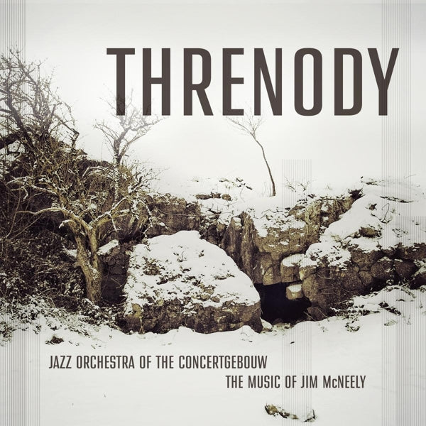  |   | Jazz Orchestra of the Concertgebouw - Threnody (2 LPs) | Records on Vinyl
