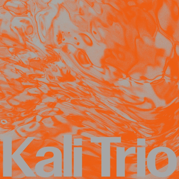  |   | Kali Trio - The Playful Abstract (LP) | Records on Vinyl