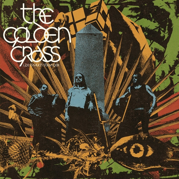  |   | Golden Grass - Life is Much Stranger (LP) | Records on Vinyl