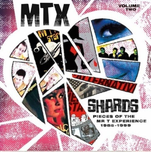 Mr. T Experience - Shards Vol.2 (LP) Cover Arts and Media | Records on Vinyl