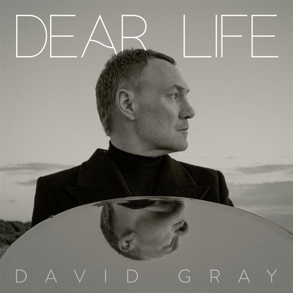  |   | David Gray - Dear Life (2 LPs) | Records on Vinyl