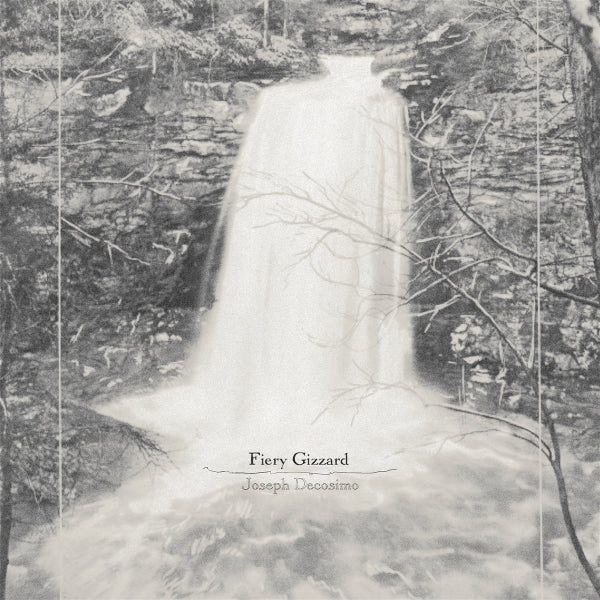  |  Vinyl LP | Joseph Decosimo - Fiery Gizzard (LP) | Records on Vinyl