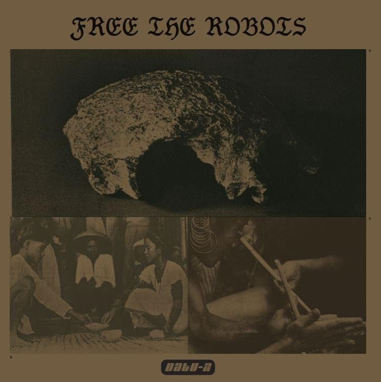  |   | Free the Robots - Datu 2 (LP) | Records on Vinyl