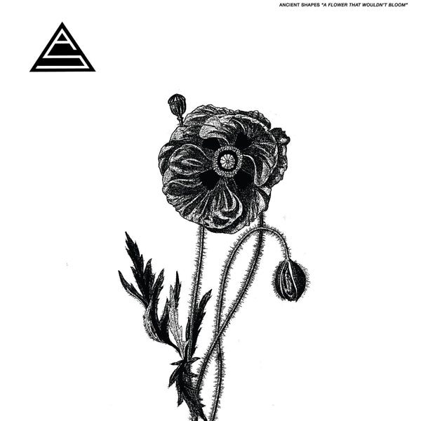  |   | Ancient Shapes - Flower That Wouldn't Bloom (LP) | Records on Vinyl