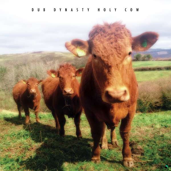 Dub Dynasty - Holy Cow (LP) Cover Arts and Media | Records on Vinyl