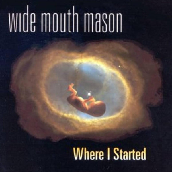  |   | Wide Mouth Mason - Where I Started (LP) | Records on Vinyl