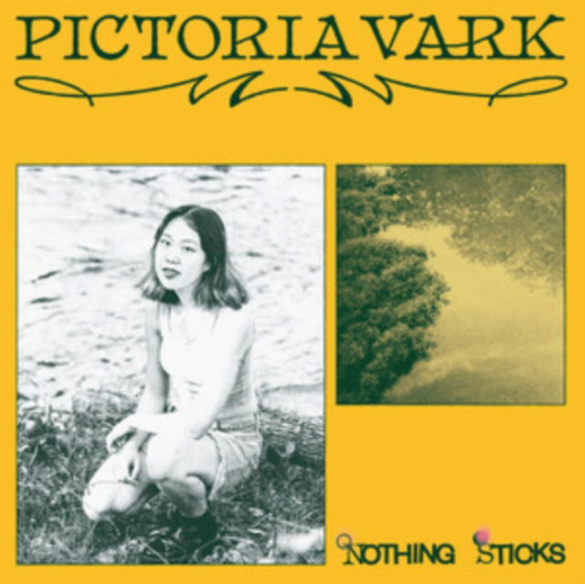 Pictoria Vark - Nothing Sticks (LP) Cover Arts and Media | Records on Vinyl