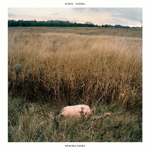  |   | Sinai Vessel - Brokenlegged (LP) | Records on Vinyl