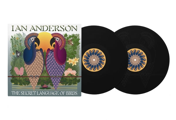 |  Vinyl LP | Ian Anderson - The Secret Language of Birds (2 LPs) | Records on Vinyl