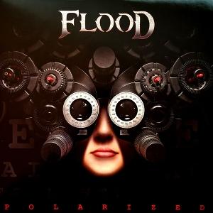 Flood - Polarized (LP) Cover Arts and Media | Records on Vinyl