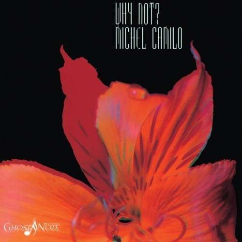 Michel Camilo - Why Not? (LP) Cover Arts and Media | Records on Vinyl