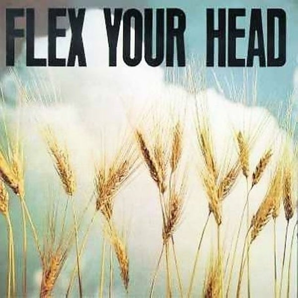  |   | V/A - Flex Your Head (LP) | Records on Vinyl