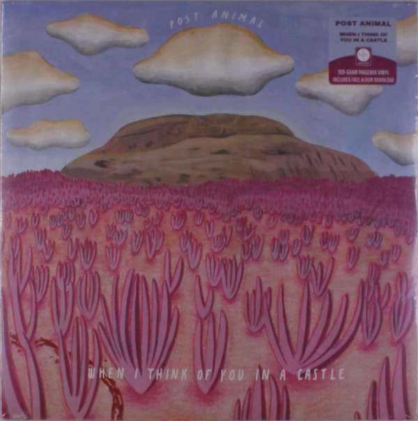  |   | Post Animal - When I Think of You In a Castle (LP) | Records on Vinyl