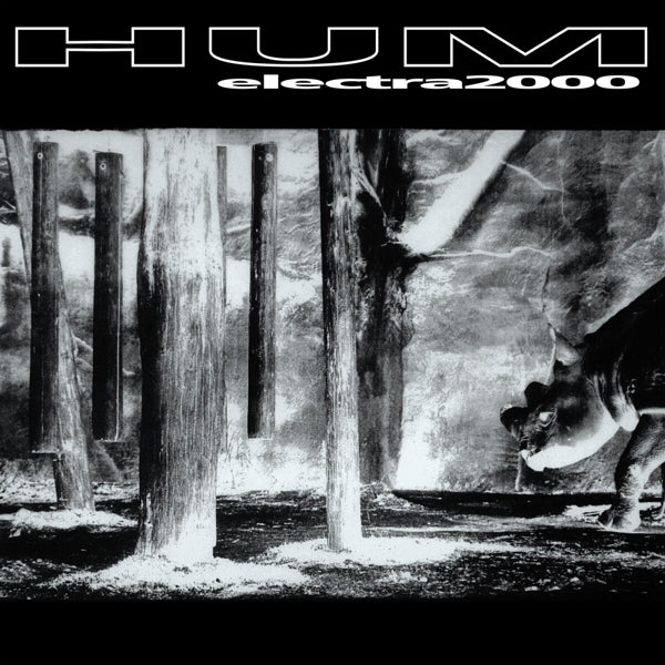  |   | Hum - Electra 2000 (2 LPs) | Records on Vinyl