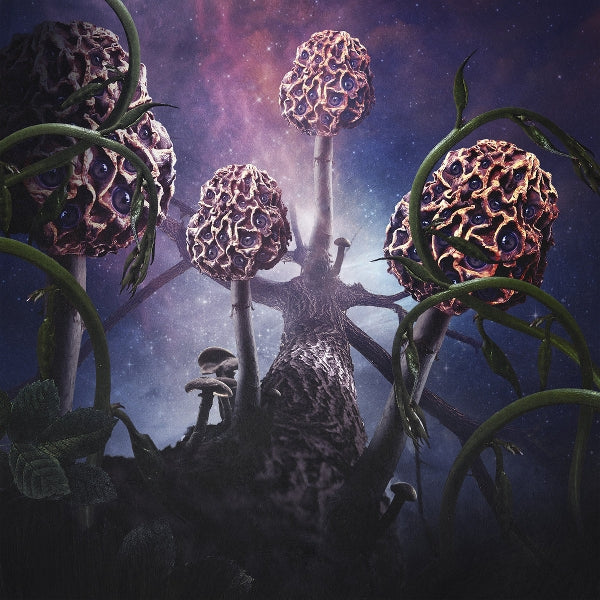  |  Vinyl LP | Blut Aus Nord - Hallucinogen (2 LPs) | Records on Vinyl