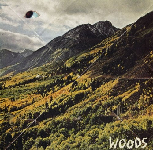  |   | Woods - Songs of Shame (LP) | Records on Vinyl