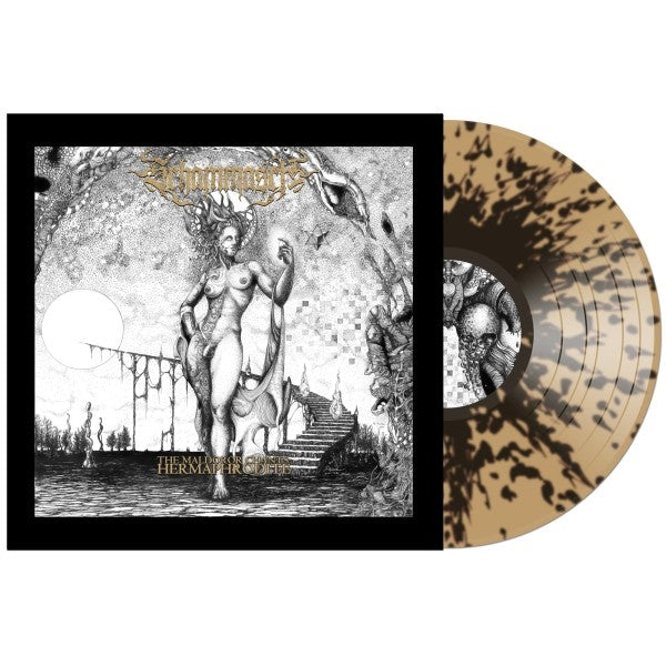  |   | Schammasch - Maldoror Chants: Hermaphrodite (LP) | Records on Vinyl