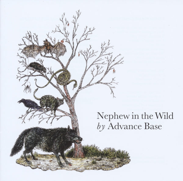  |   | Advance Base - Nephew In the Wild (LP) | Records on Vinyl