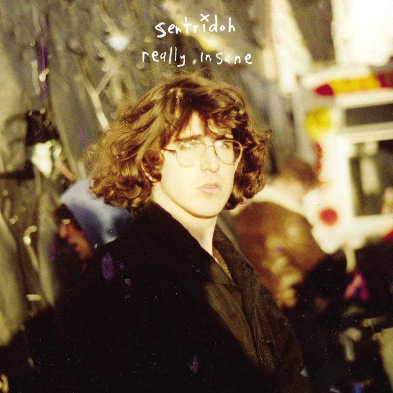  |   | Sentridoh - Really Insane - a Lou Barlow Compendium (LP) | Records on Vinyl