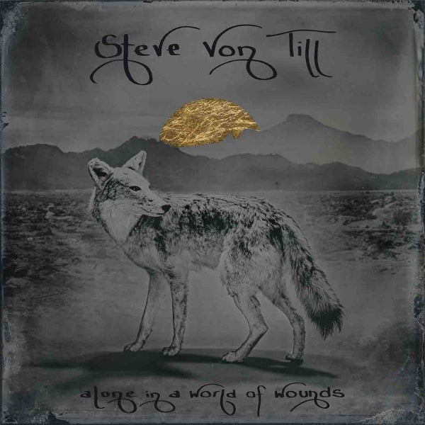  |   | Steve Von Till - Alone In a World of Wounds (LP) | Records on Vinyl