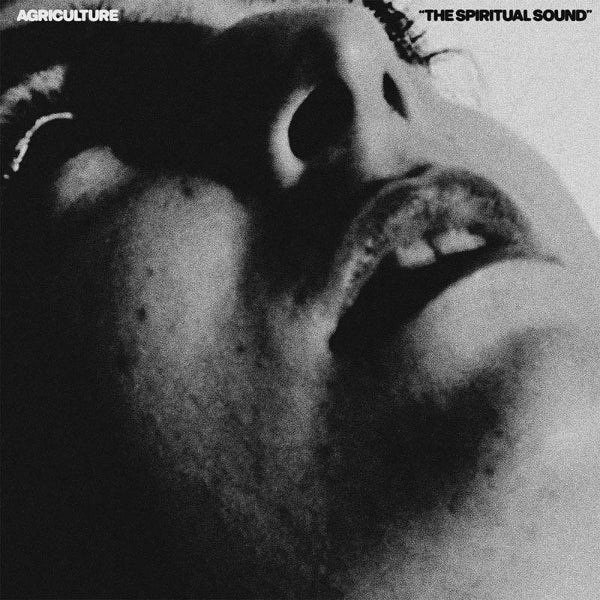  |  Vinyl LP | Agriculture - The Spiritual Sound (LP) | Records on Vinyl