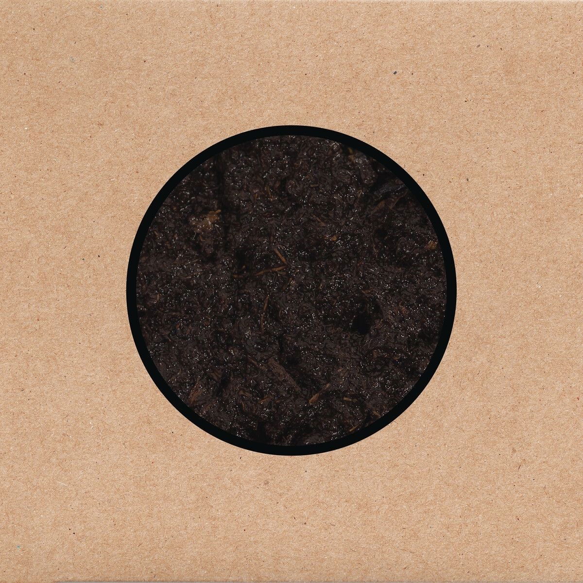 Swans - Birthing (LP) Cover Arts and Media | Records on Vinyl