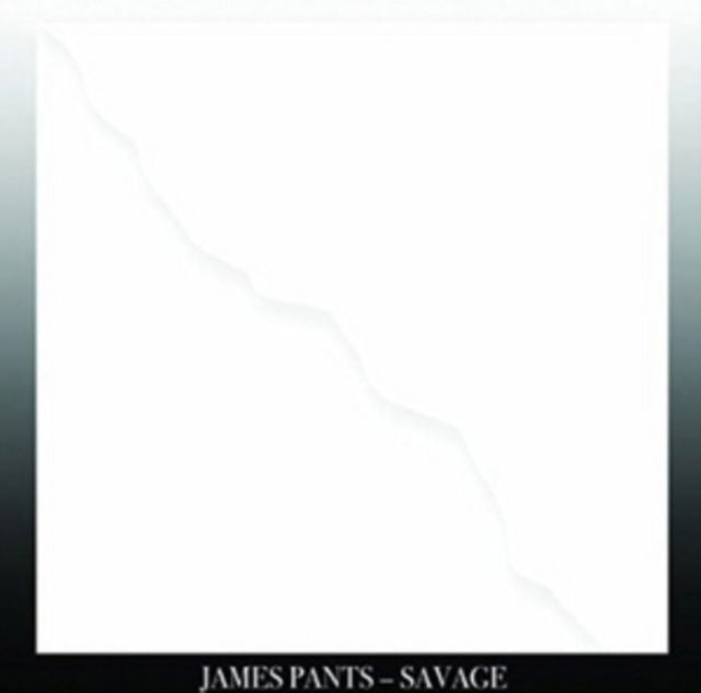  |  Vinyl LP | James Pants - Savage (LP) | Records on Vinyl