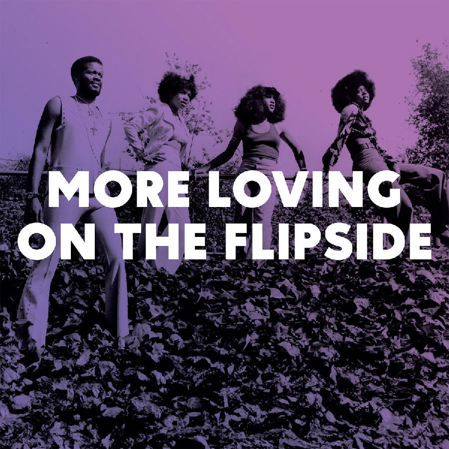 V/A - More Loving On the Flipside: Sweet Funk & Beat-Heavy Ballads 1968-1975 (LP) Cover Arts and Media | Records on Vinyl