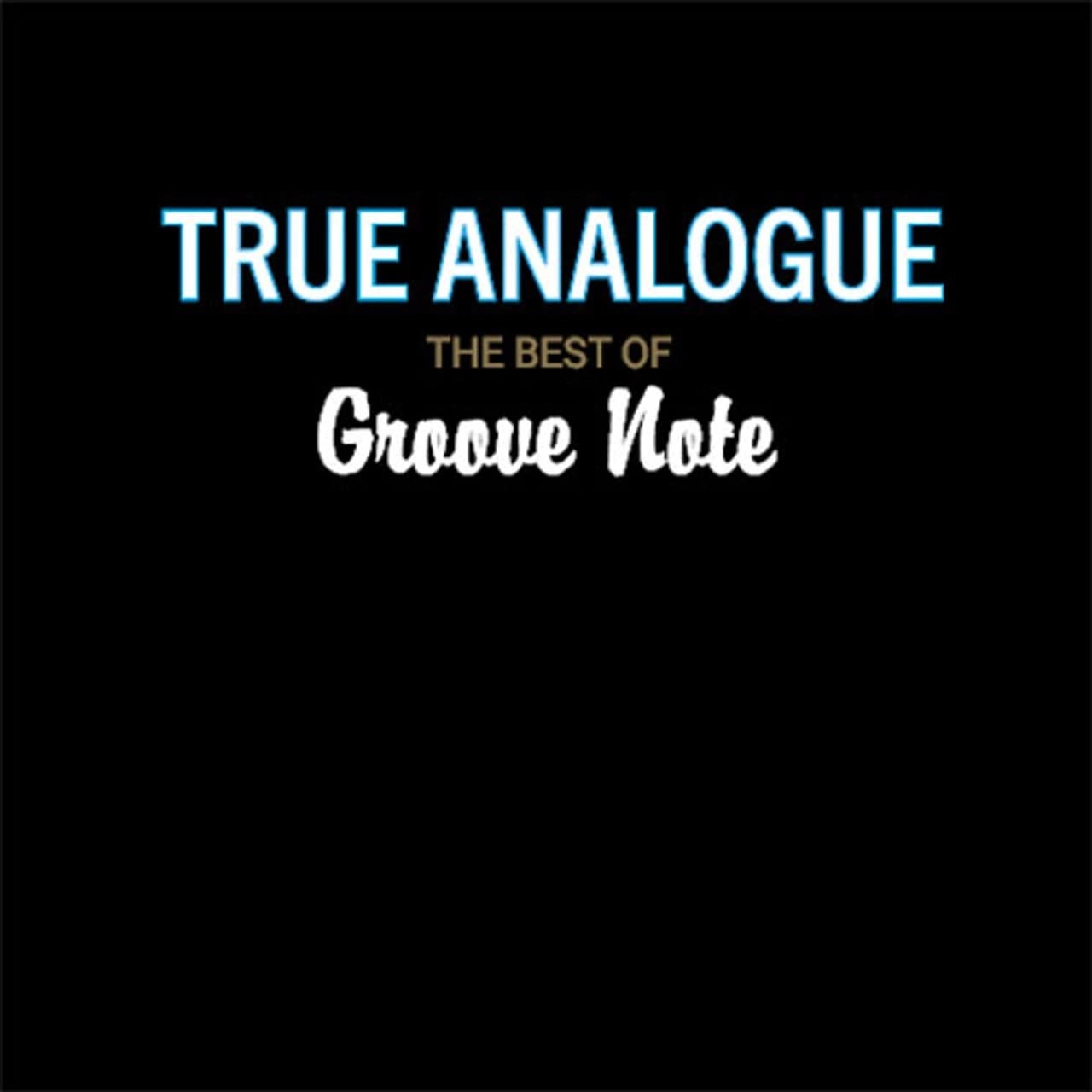 V/A - True Analogue (2 LPs) Cover Arts and Media | Records on Vinyl