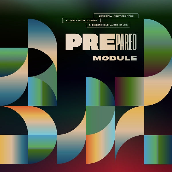  |  Vinyl LP | Prepared - Module (LP) | Records on Vinyl