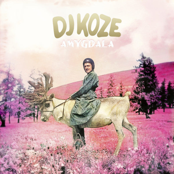  |   | DJ Koze - Amygdala (2 LPs) | Records on Vinyl