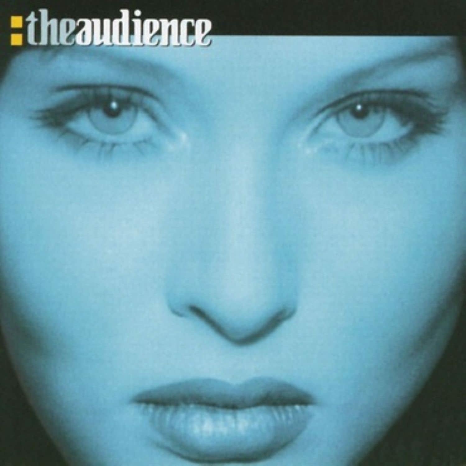 Theaudience - Theaudience (2 LPs) Cover Arts and Media | Records on Vinyl