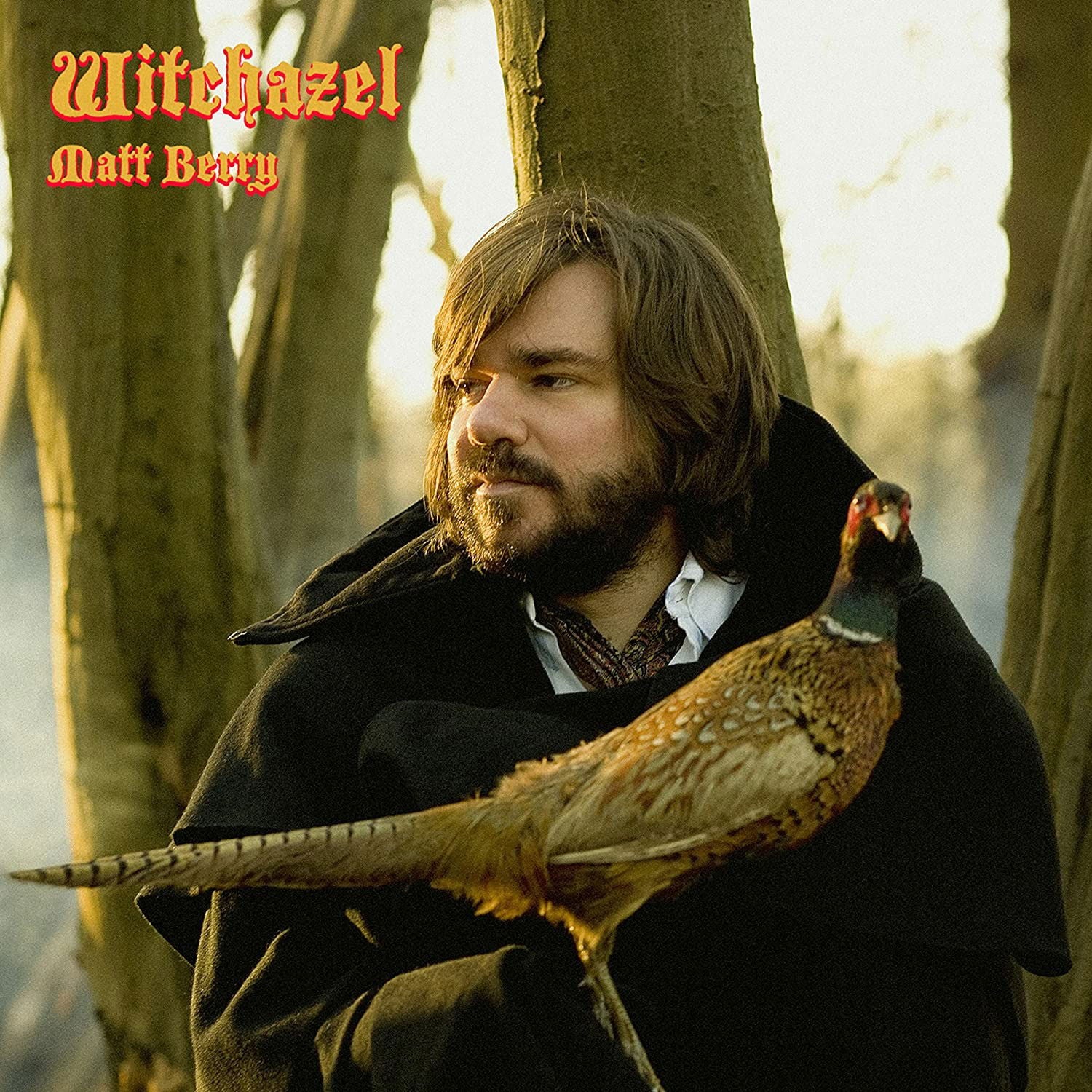 Matt Berry - Witchazel (LP) Cover Arts and Media | Records on Vinyl