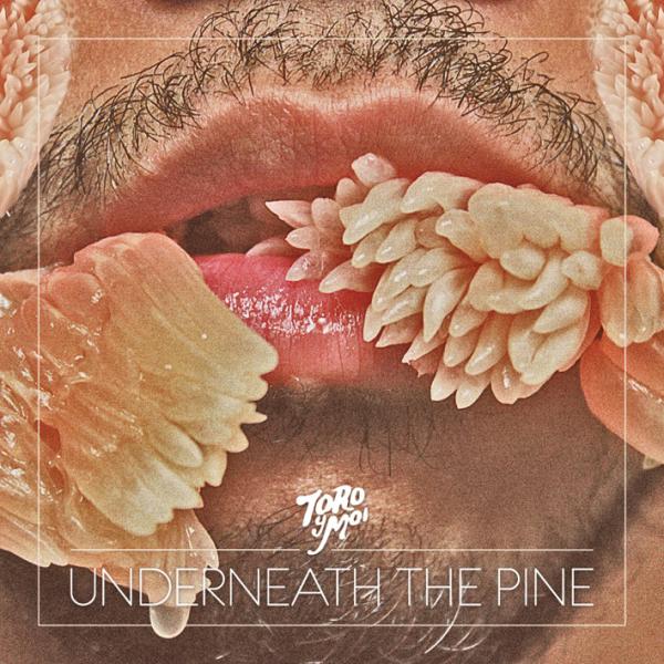  |   | Toro Y Moi - Underneath the Pine (LP) | Records on Vinyl