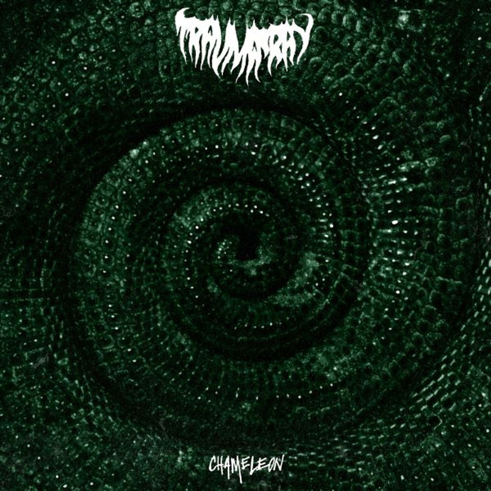  |   | Trauma Ray - Chameleon (LP) | Records on Vinyl