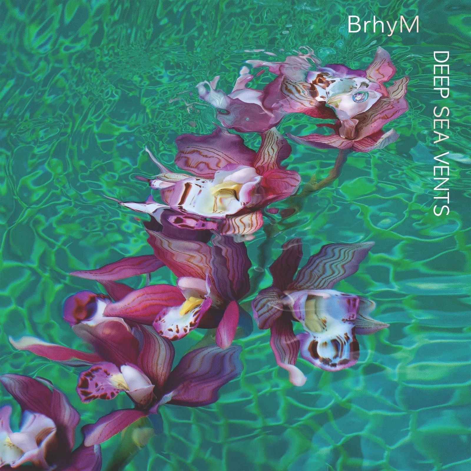 Brhym - Deep Sea Vents (LP) Cover Arts and Media | Records on Vinyl