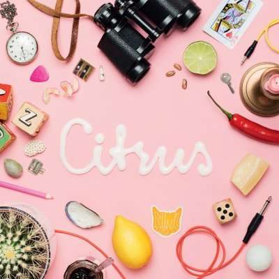 Animal Daydream - Citrus (Single) Cover Arts and Media | Records on Vinyl