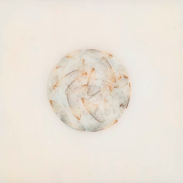  |   | Lotte Kestner - Off White (LP) | Records on Vinyl