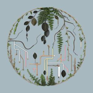 El Buho - Tributaries Vol.2 (LP) Cover Arts and Media | Records on Vinyl