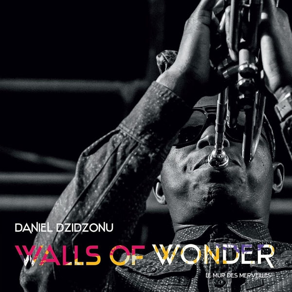  |   | Daniel Dzidzonu - Walls of Wonder (LP) | Records on Vinyl