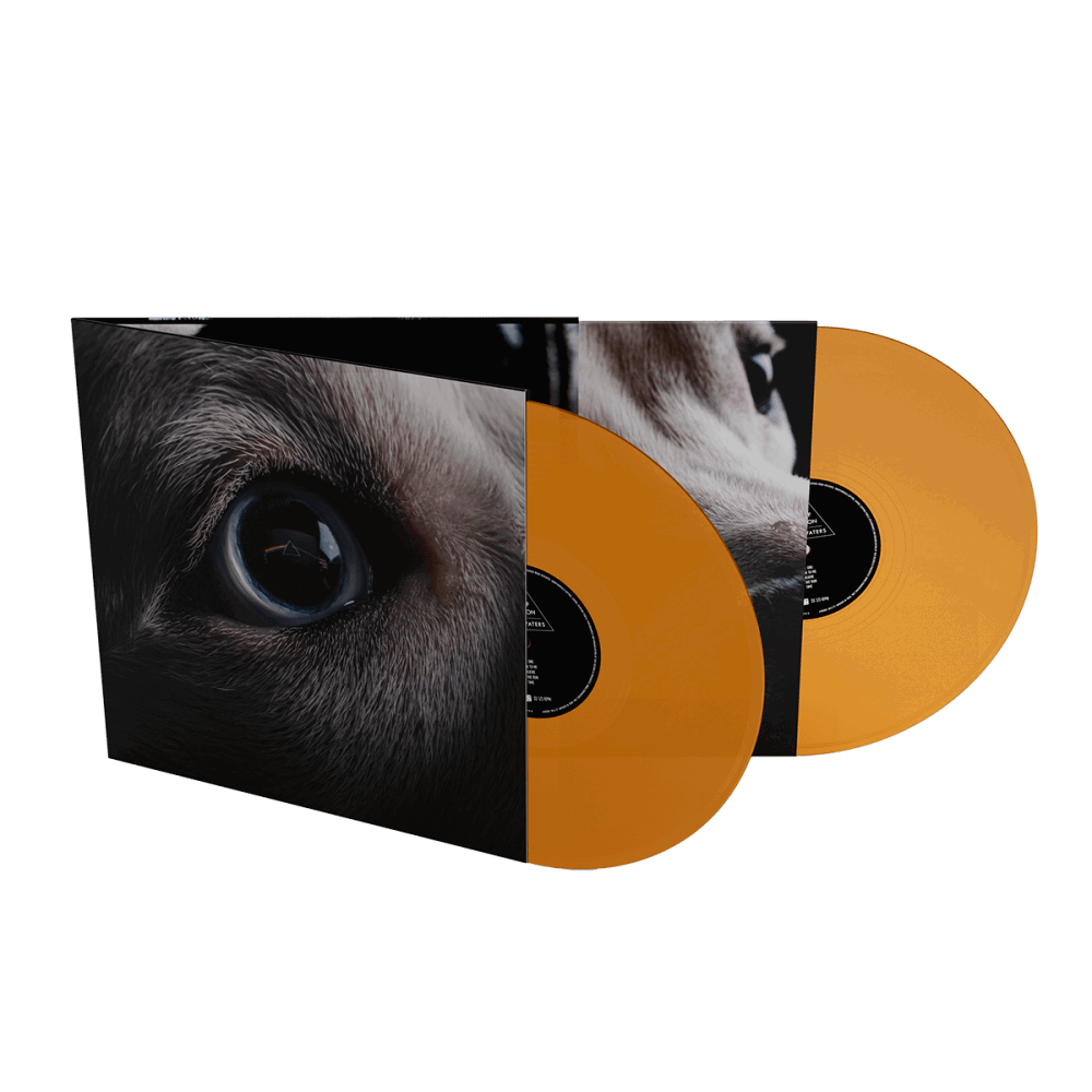 Roger Waters - The Dark Side of the Moon Redux (2 LPs) Cover Arts and Media | Records on Vinyl