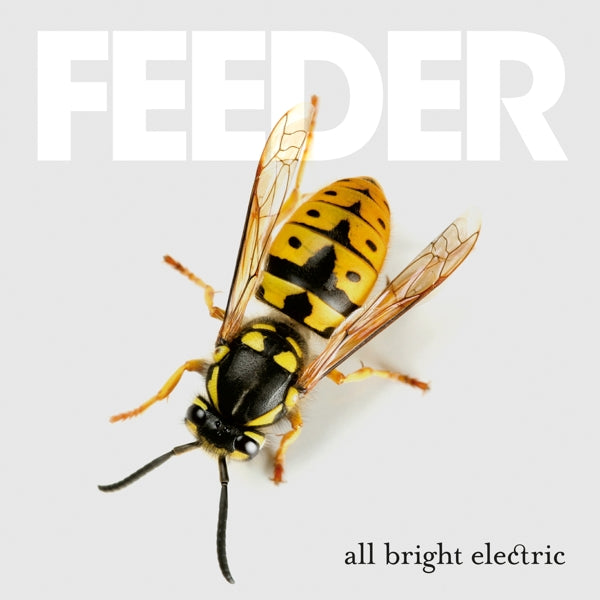  |   | Feeder - All Bright Electric (2 LPs) | Records on Vinyl