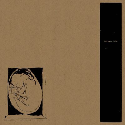  |   | Boysetsfire - This Crying, This Screaming, My Voice is Being Born (2 LPs) | Records on Vinyl