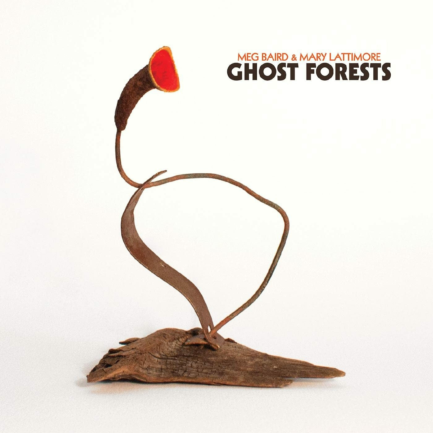 Meg and Mary Lattimore Baird - Ghost Forests (LP) Cover Arts and Media | Records on Vinyl