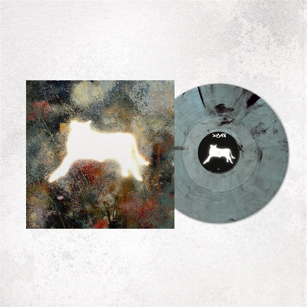  |  Vinyl LP | Joyer - On the Other End of the Line... (LP) | Records on Vinyl