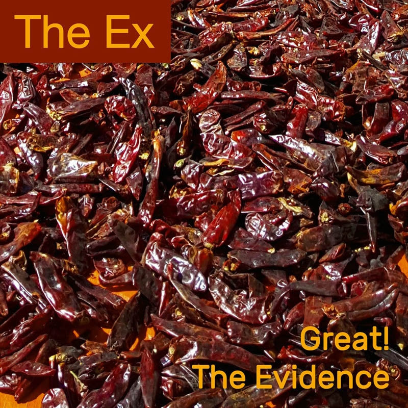  |   | Ex - Great! (Single) | Records on Vinyl