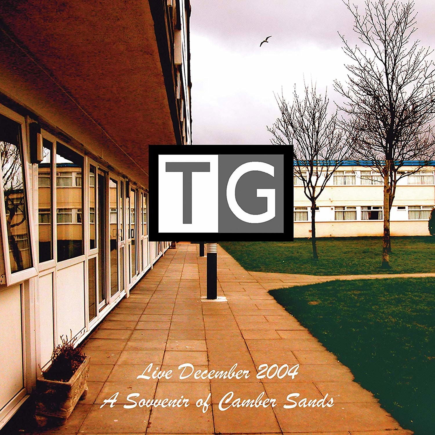Throbbing Gristle - A Souvenir of Camber Sands: Live (2 LPs) Cover Arts and Media | Records on Vinyl
